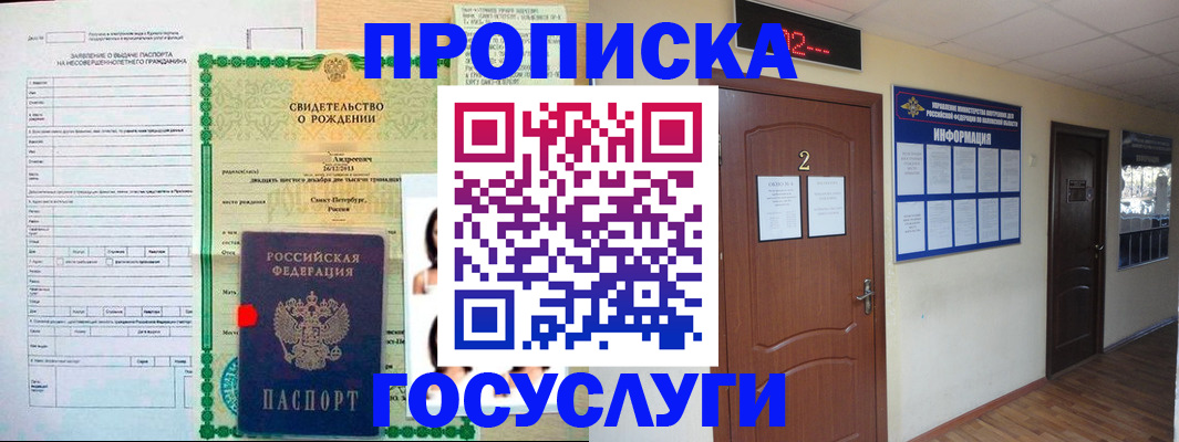 прописка законно в Соколе